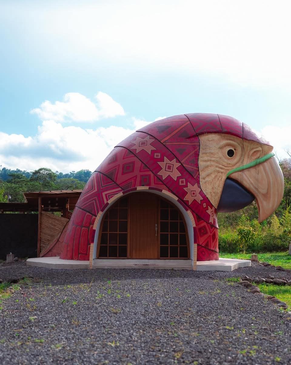 Guacamayo