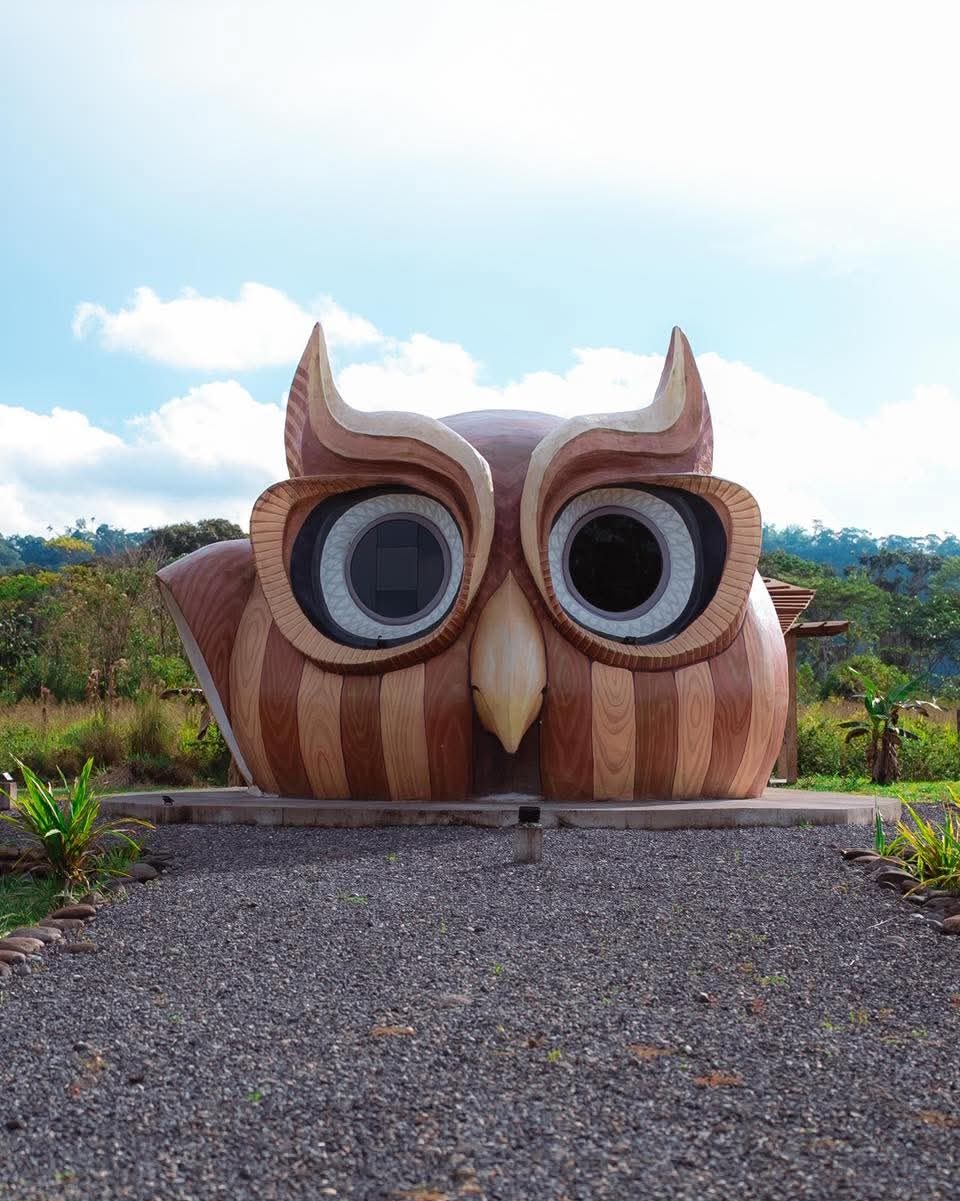 Búho