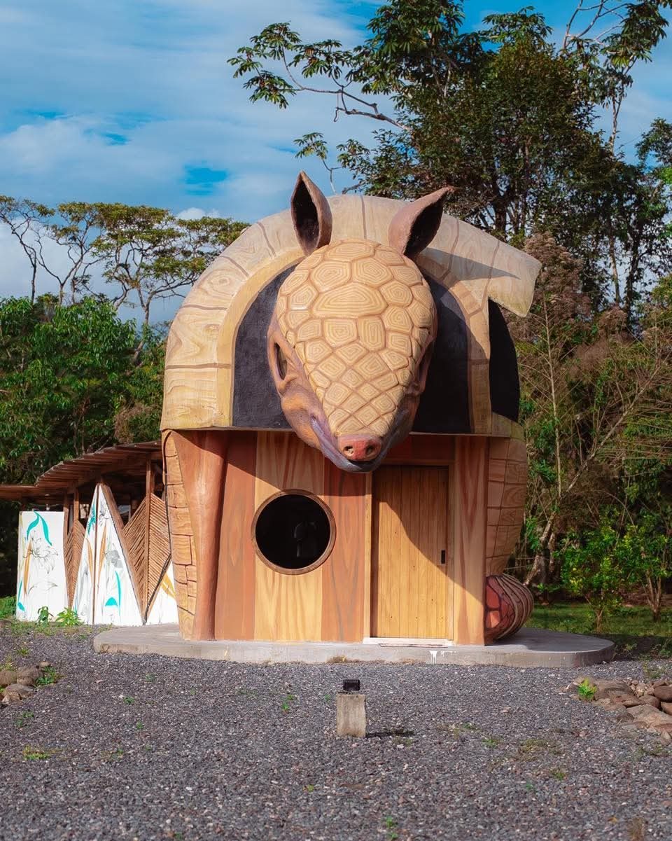 Armadillo