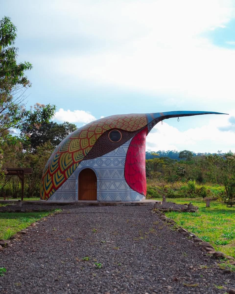 Colibrí