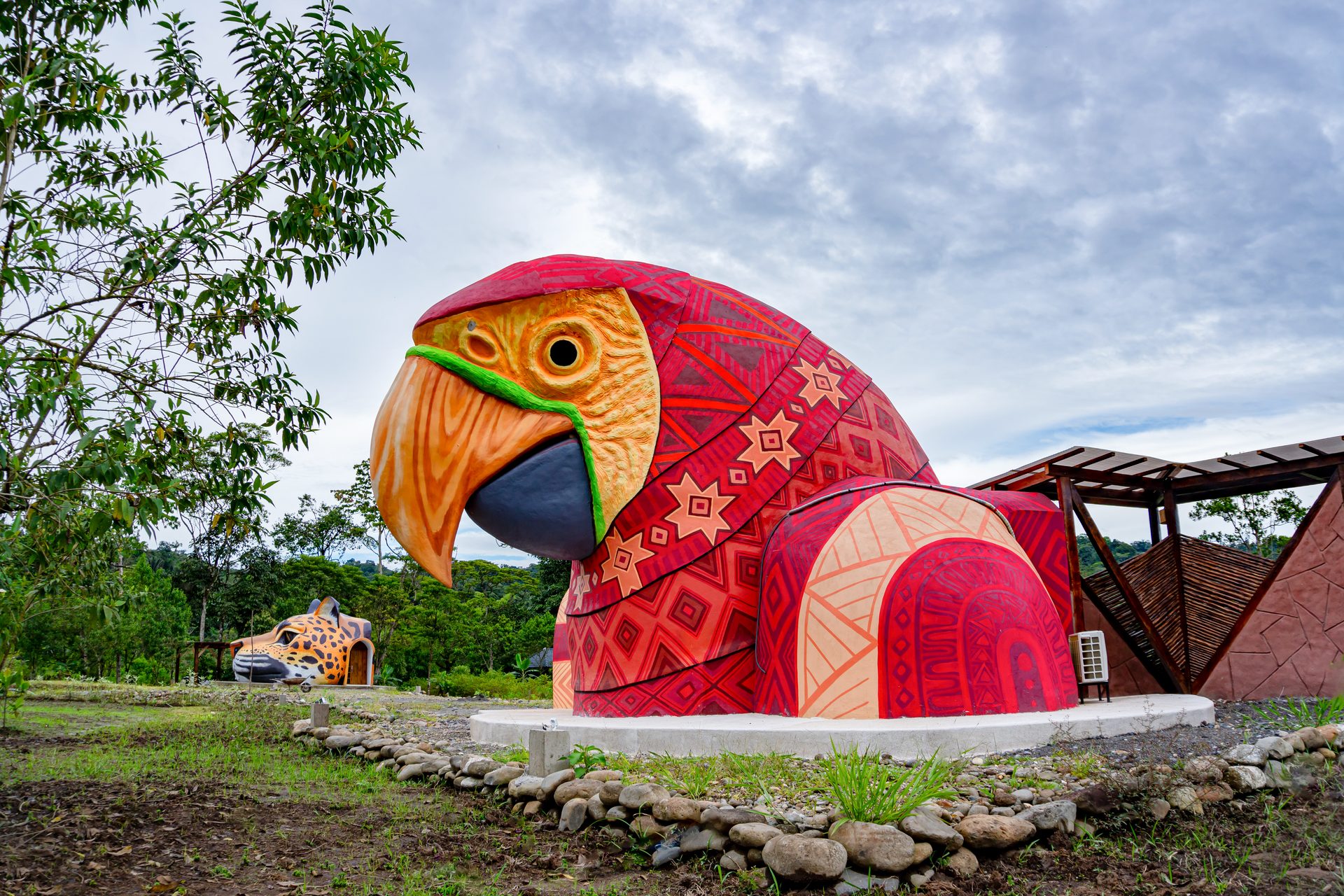 Guacamayo