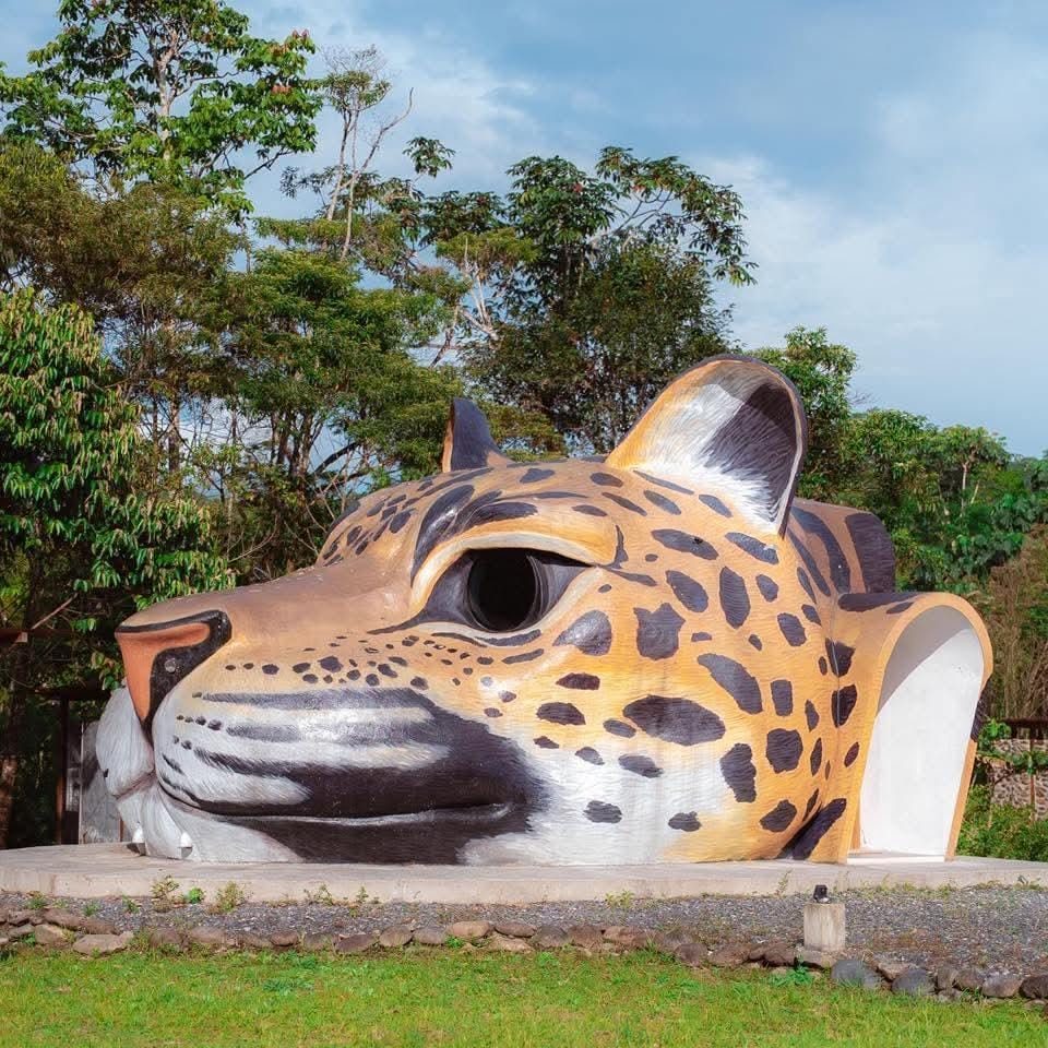 Jaguar